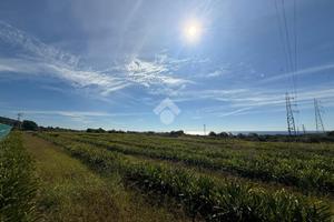 TER. AGRICOLO A SANTA MARINELLA