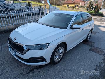 Skoda Octavia IV 2021 Wagon 2.0 TDI EVO SCR 116CV