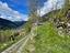 Immagine 12