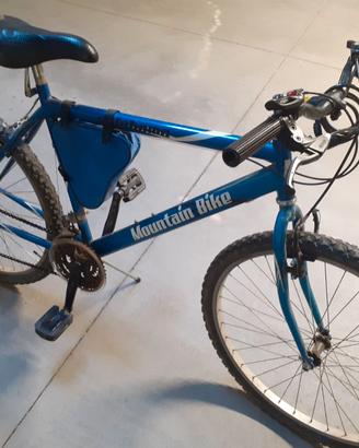 Mountain bike 