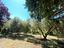 Immagine 28