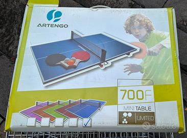 Mini tavolo da Ping Pong