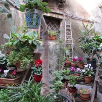 Villa o villino - Bronte