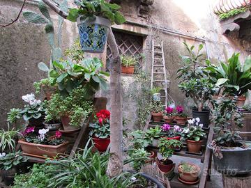 Villa o villino - Bronte
