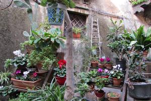 Villa o villino - Bronte