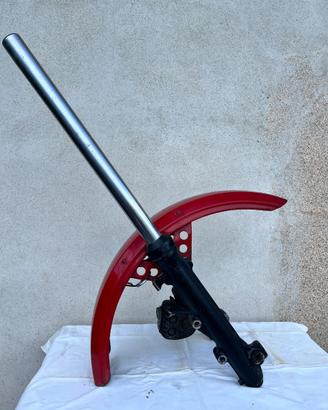 Forcelle anteriori +parafango Kawasaki Z 500