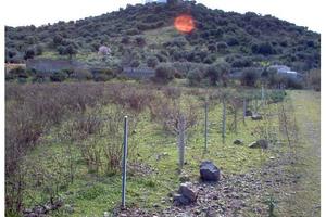 Sarroch (Cagliari) terreno edificabile zona C1