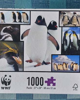 Puzzle 1000 pezzi