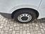 Immagine 7