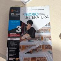 Il tesoro della letteratura  3