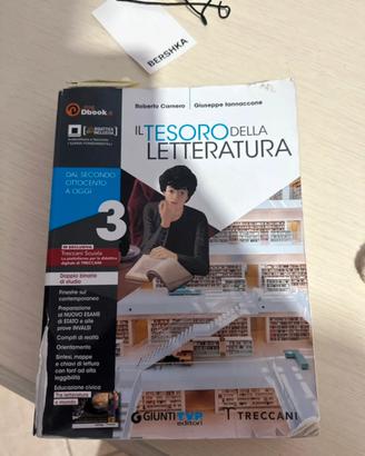 Il tesoro della letteratura  3
