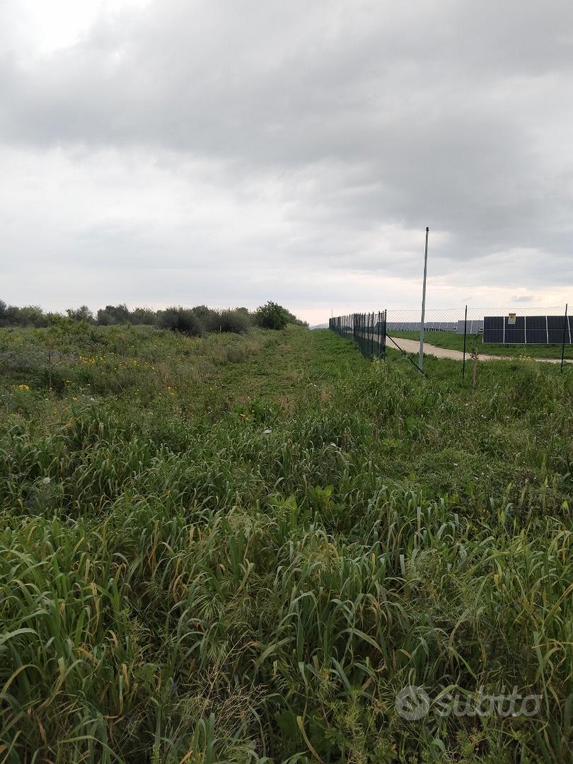 Terreno agricolo edificabile - Vista 4