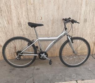 Bicicletta MTB