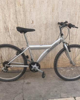 Bicicletta MTB