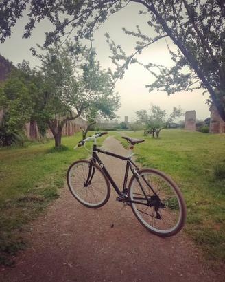 Bicicletta MBM Life