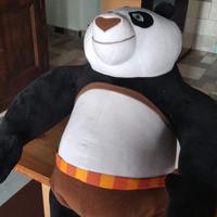 Kung fu panda