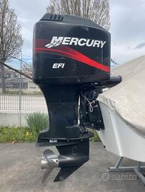 MOTORE MERCURY 225CV EFI