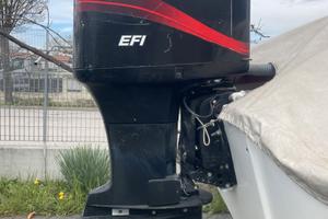 MOTORE MERCURY 225CV EFI
