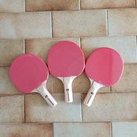 Racchette da ping pong Professionali per bambini