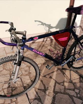 MOUNTAIN BIKE GIANT ESCAPER 