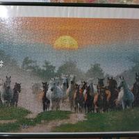puzzle branco cavalli