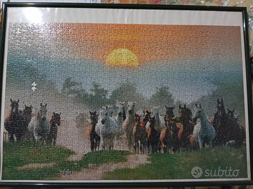 puzzle branco cavalli