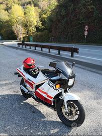 SUZUKI RG 500 RG500 GAMMA