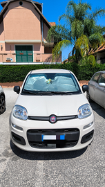 Panda metano 1 proprietario