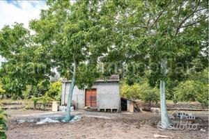 Terreno panoramico con fabbricato a Mascali