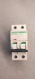 interruttore magnetotermico Schneider