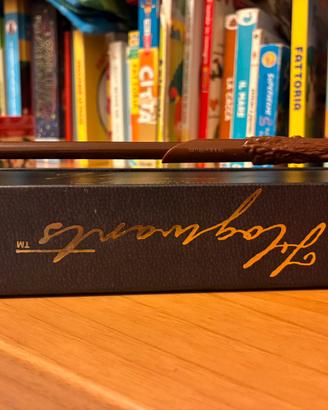 Penna bacchetta Harry Potter levitante