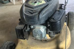 Taglia erba a spinta