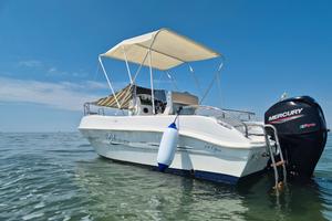 open blumax 19 del 2021 con mercury 40/70  