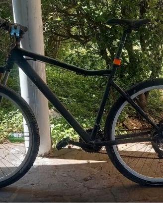 bicicletta uomo xl