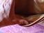 Immagine 6