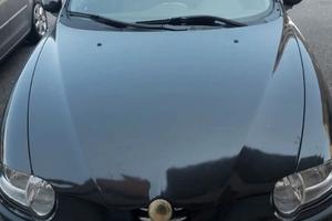 alfa motore straordinario 