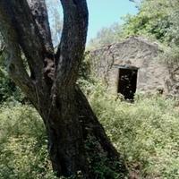 Terreno agricolo Nebrodi fabbricabile mc.550