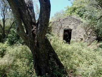 Terreno agricolo Nebrodi fabbricabile mc.550