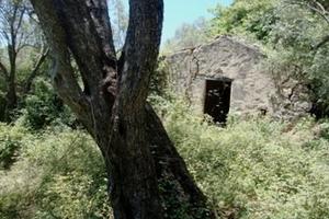 Terreno agricolo Nebrodi fabbricabile mc.550