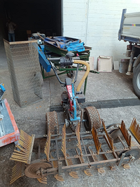 Raccoglitrice/scopatrice olive