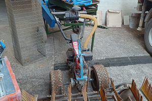 Raccoglitrice/scopatrice olive