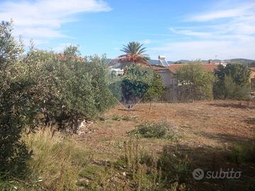 Terreno Edificabile - Siliqua