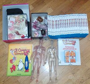 Esplorando il corpo umano: Libri DVD Gioco Modelli