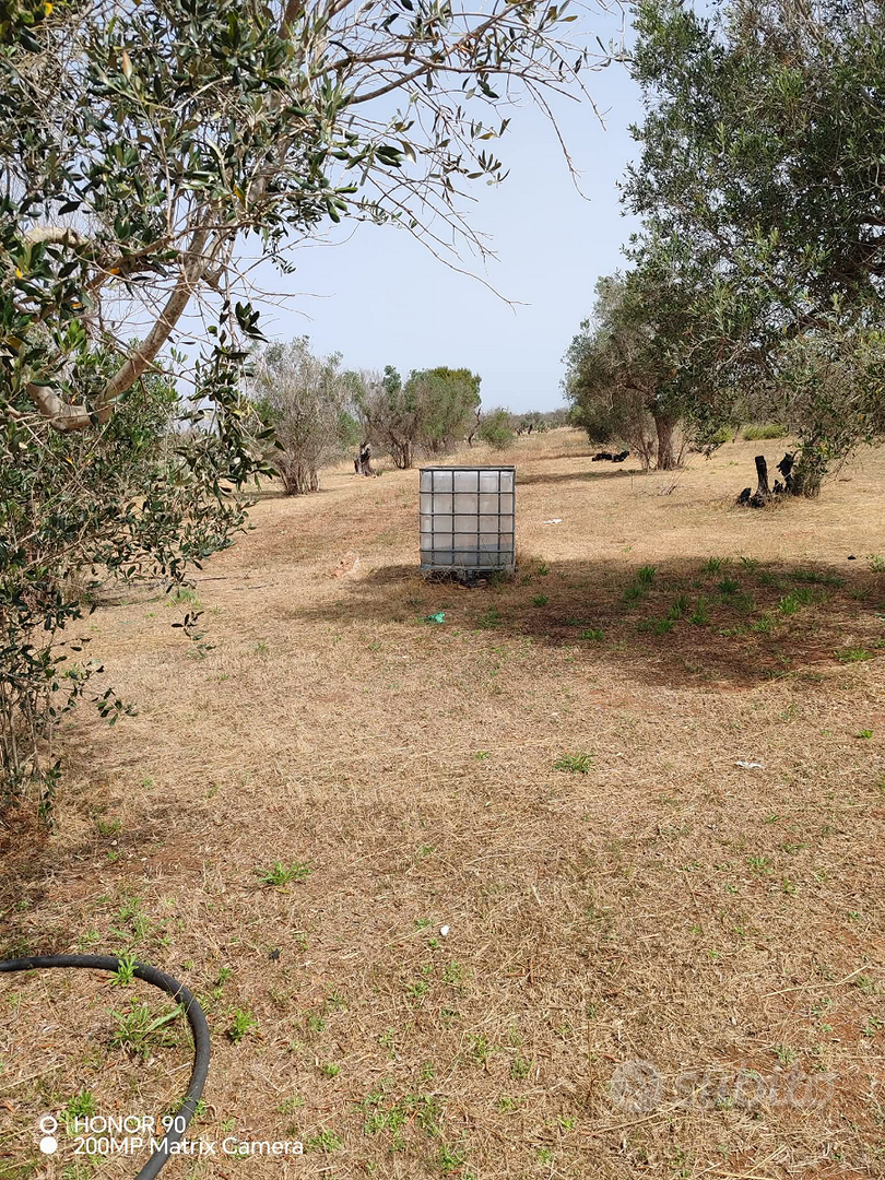 Terreno 62aree - Vista 3