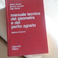 Manuale del geometra