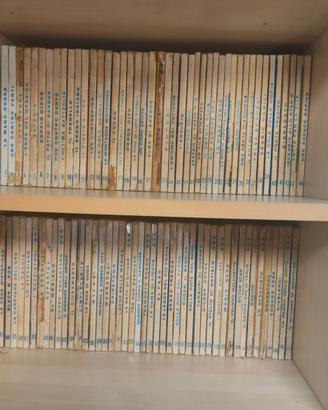collezione TEX  completa fino ad agosto 2025