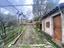 Immagine 14