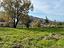 Immagine 20
