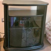 mobile TV