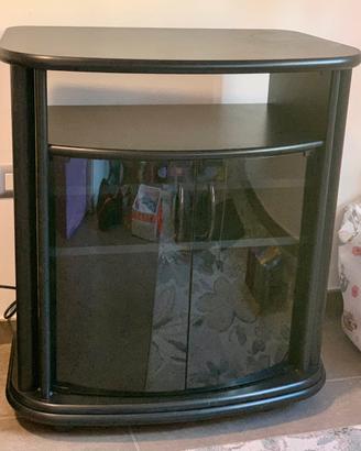 mobile TV